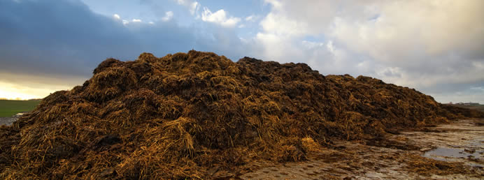 Vermi Solutions Compost / Animal Waste Analysis