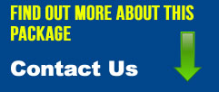 Vermi Solutions Contact Us